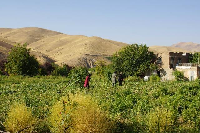 Urlaub in Iran 2018